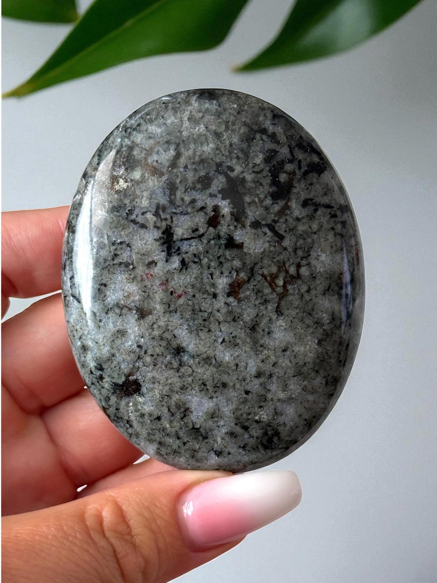 Eudialyte Palm Stone