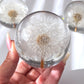 Everlasting Dandelion Sphere 70mm