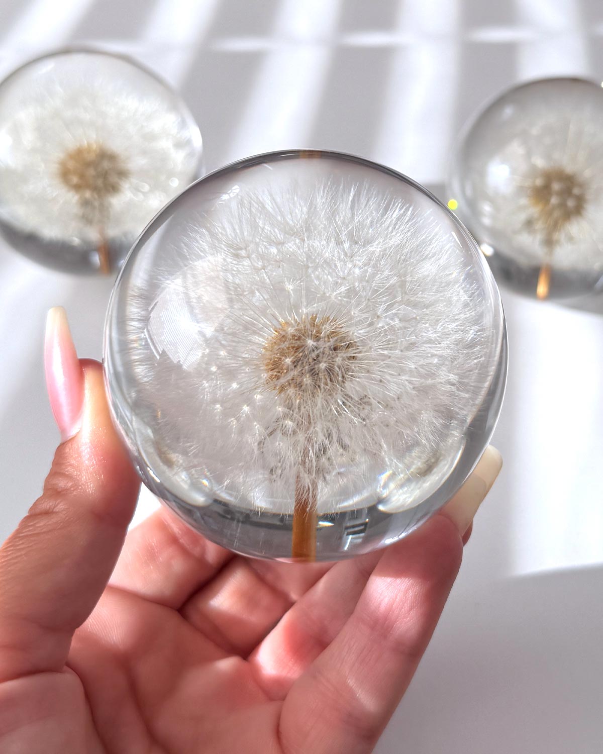 Everlasting Dandelion Sphere 70mm