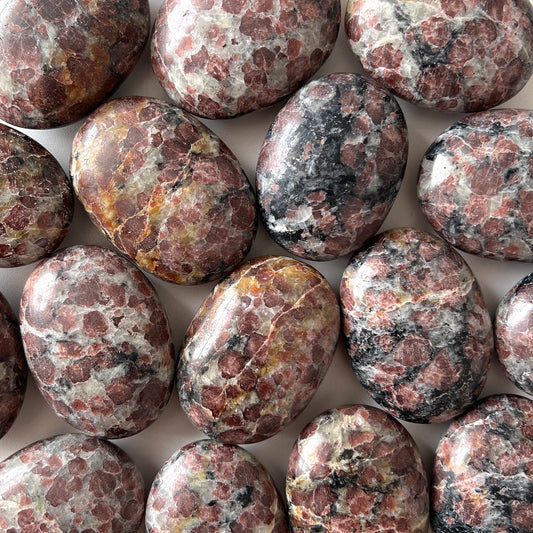 Garnet in Arfvedsonite Palm Stone