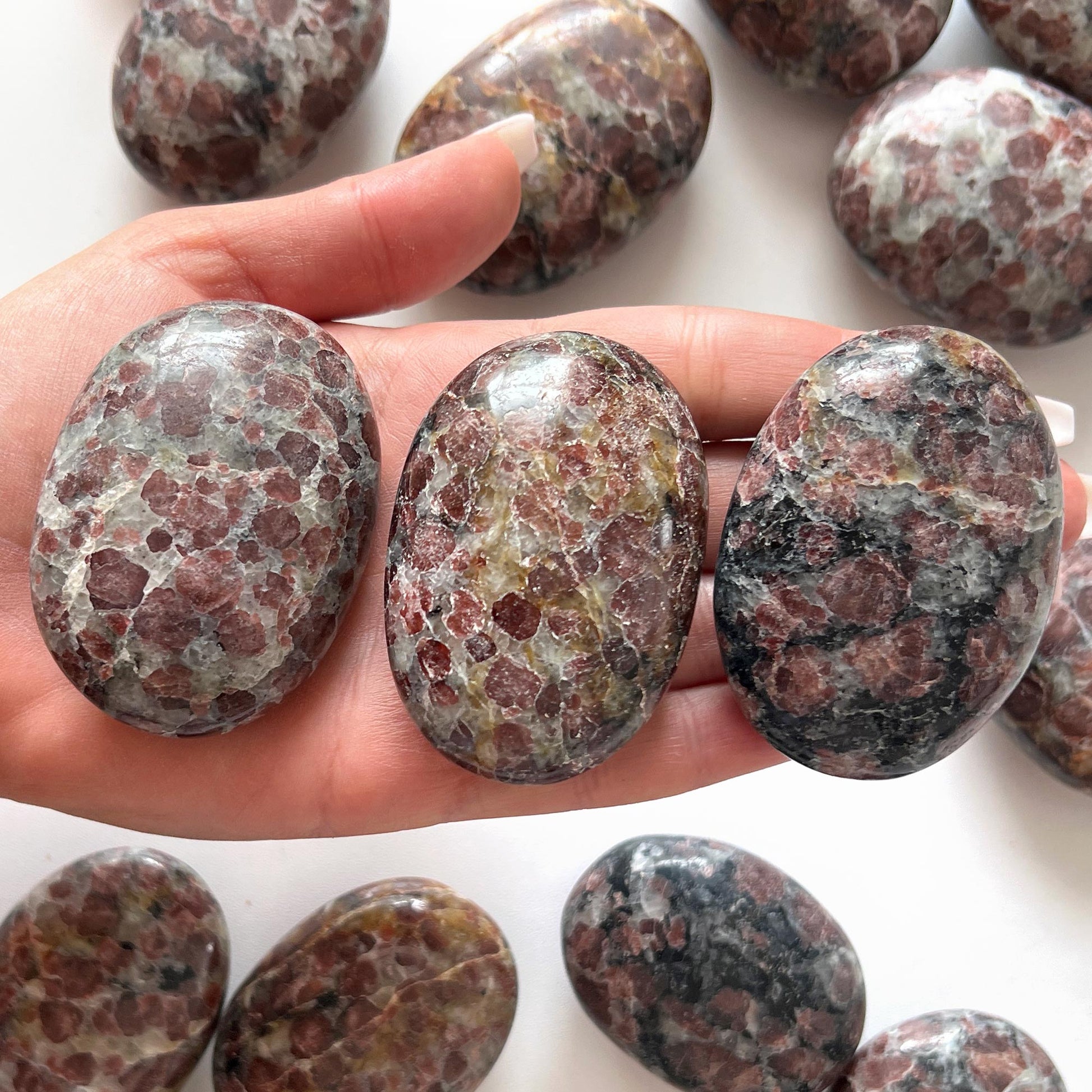 Garnet in Arfvedsonite Palm Stone – Sole Luna