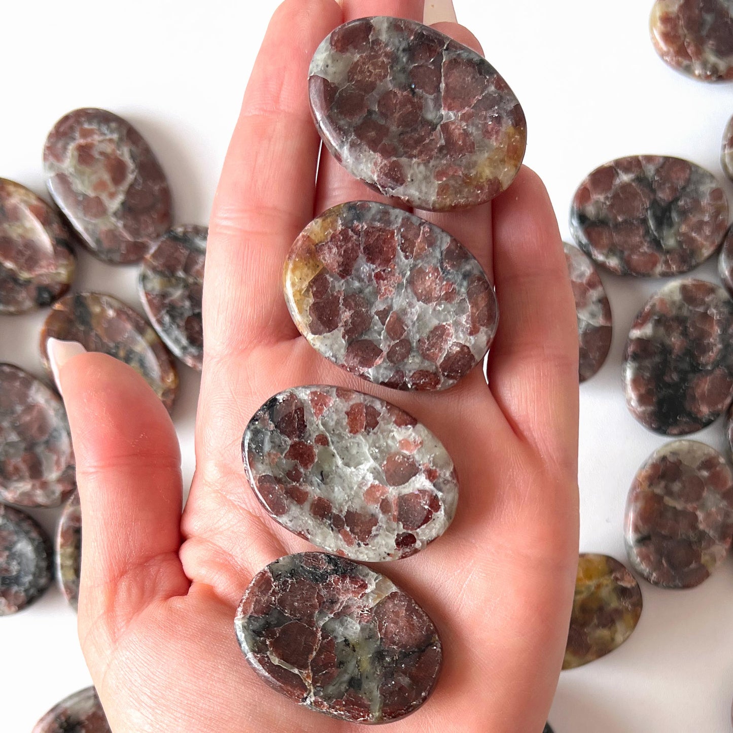 Garnet in Arfvedsonite Worry Stone