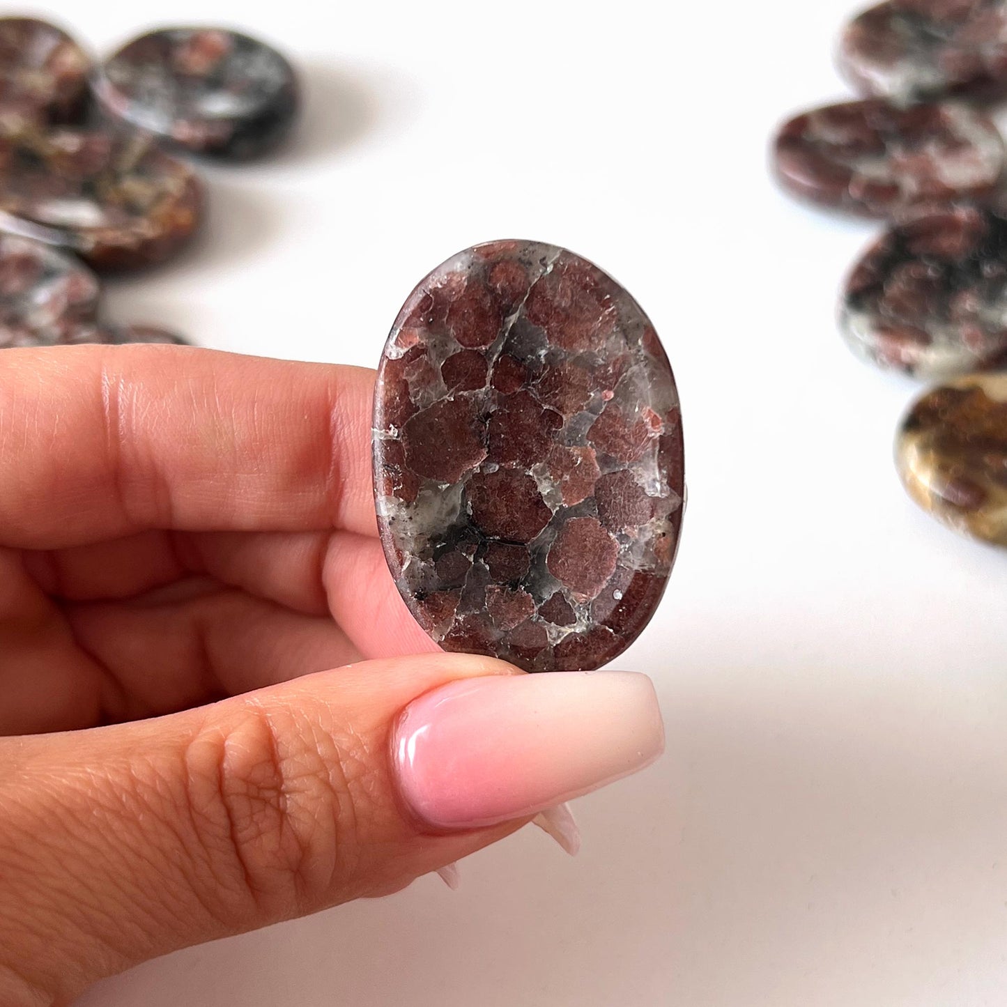 Garnet in Arfvedsonite Worry Stone