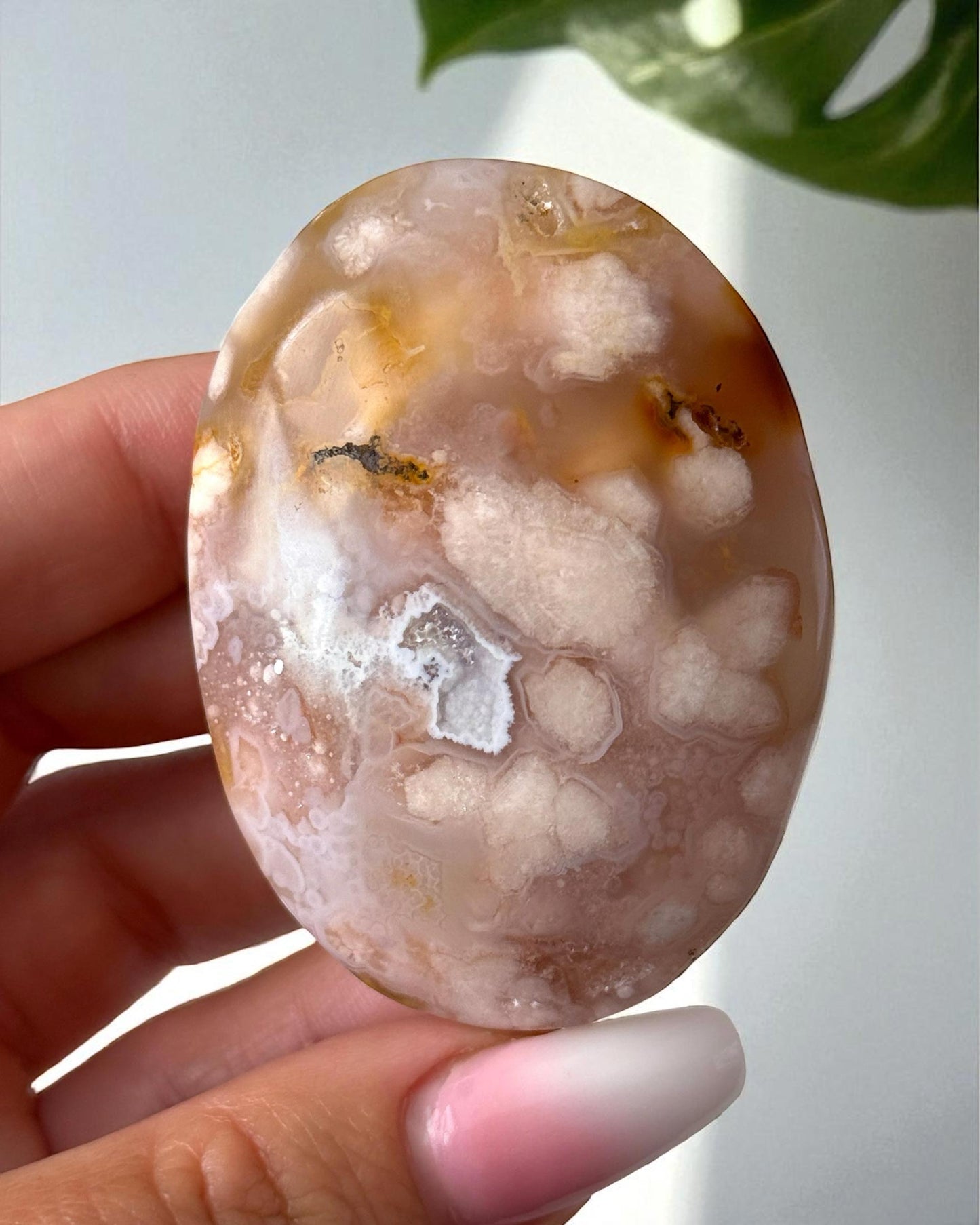 Flower Agate Palm Stone
