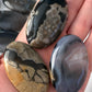 Fluorescent Agate Palm Stone