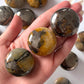 Golden Healer Pyrite Round Palm Stone