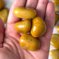 Goldenrod Yellow Aventurine Tumbled