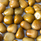 Goldenrod Yellow Aventurine Tumbled