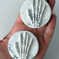 Howlite Skeleton Palm Stone