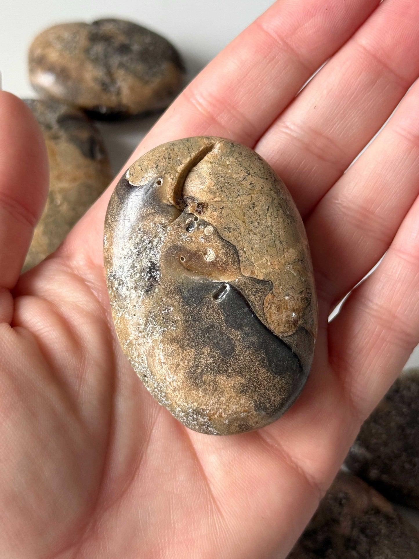 Muddy Amber Palm Stones