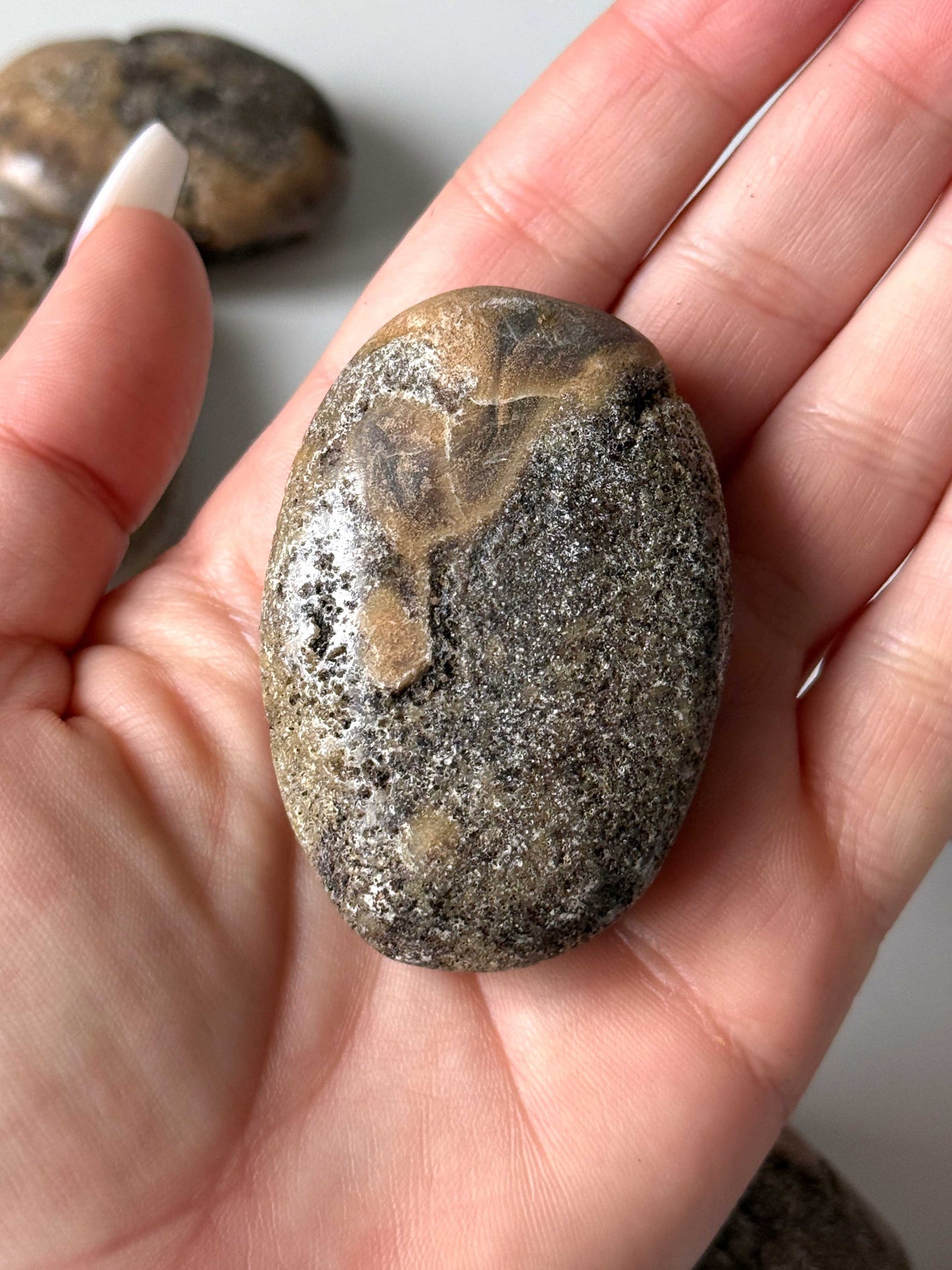 Muddy Amber Palm Stones