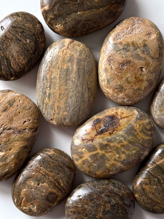 Amber Palm Stones