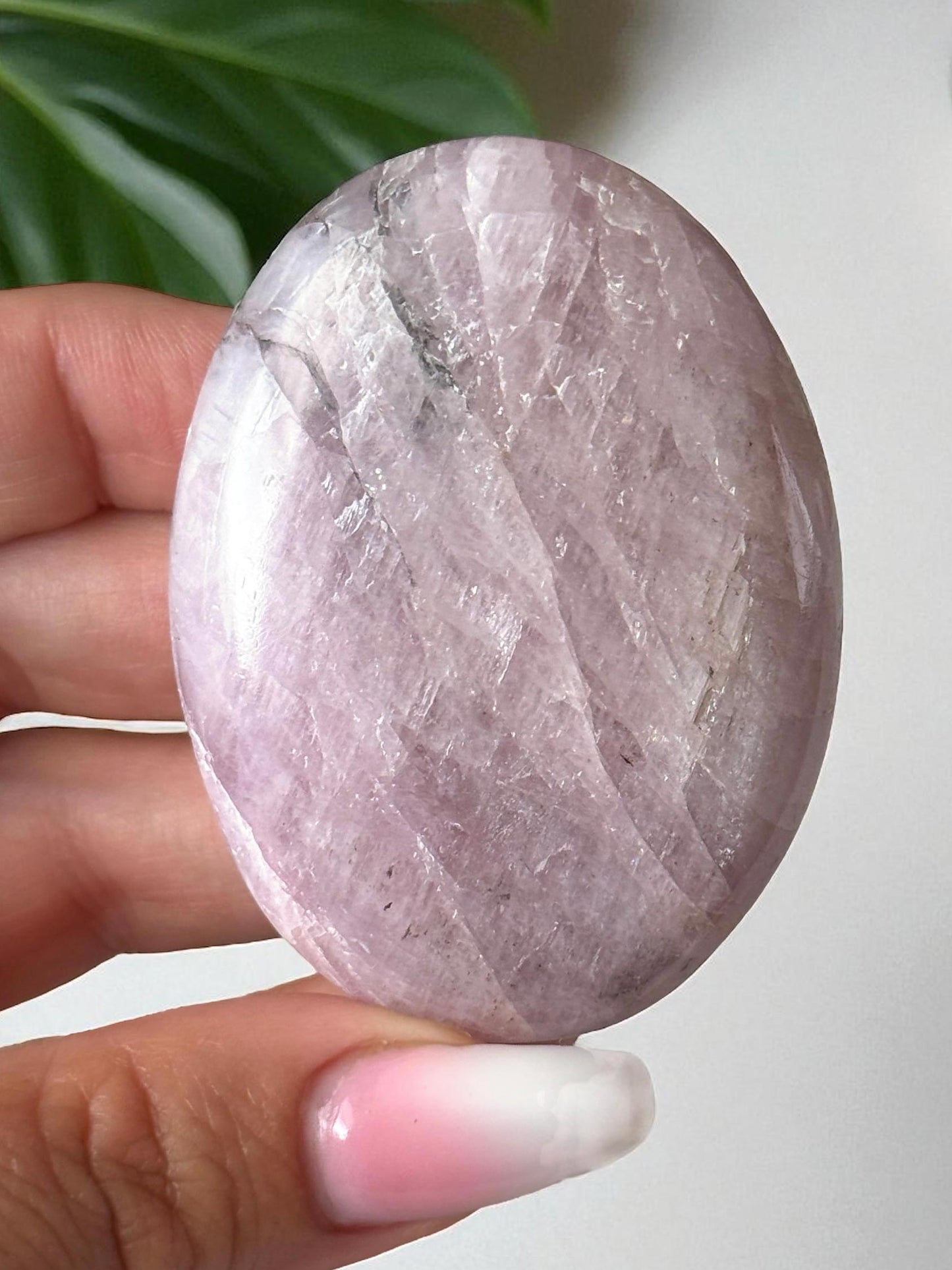 Kunzite with Dendrite Palm Stone