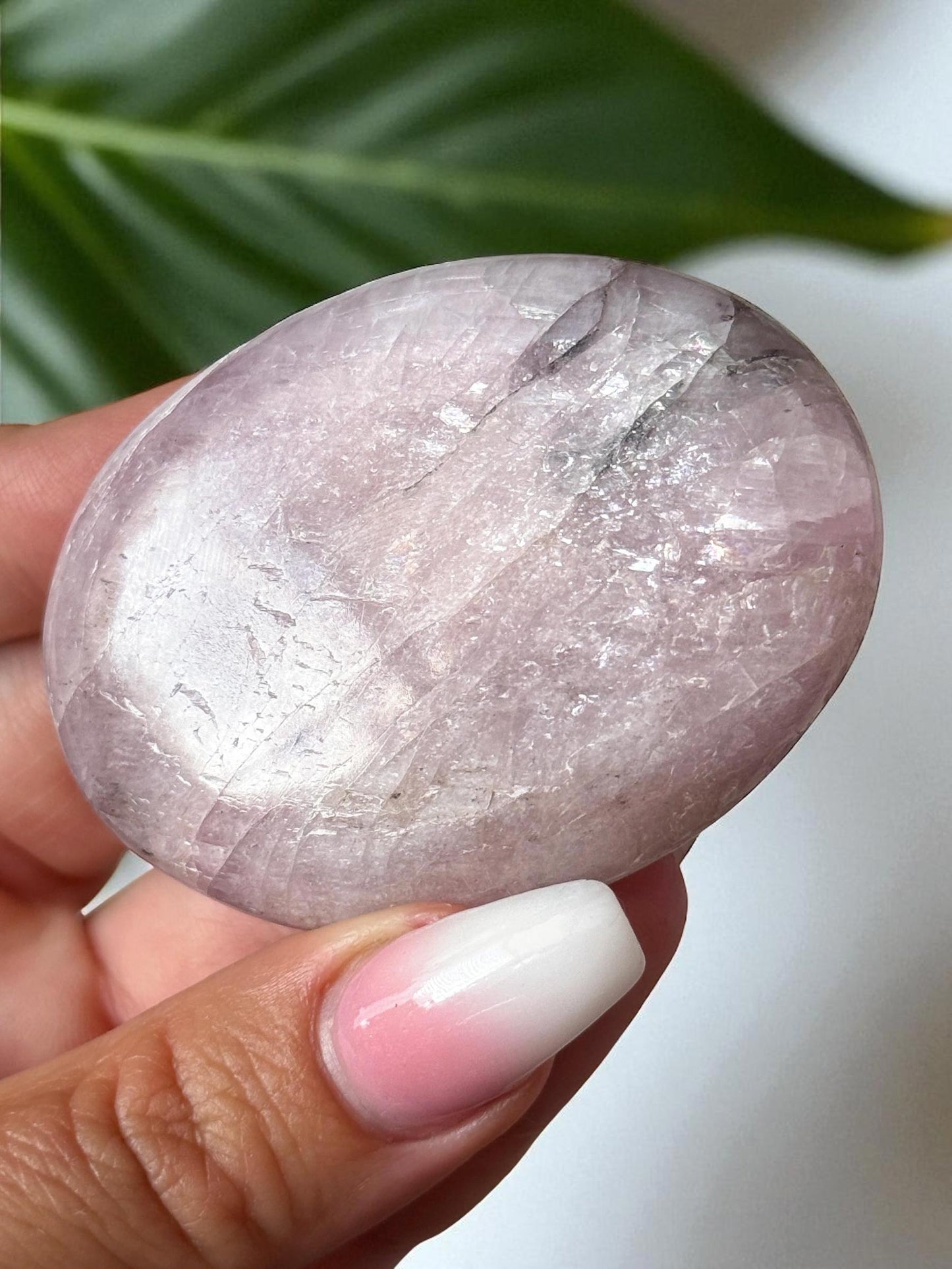 Kunzite with Dendrite Palm Stone