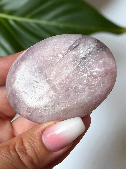 Kunzite with Dendrite Palm Stone