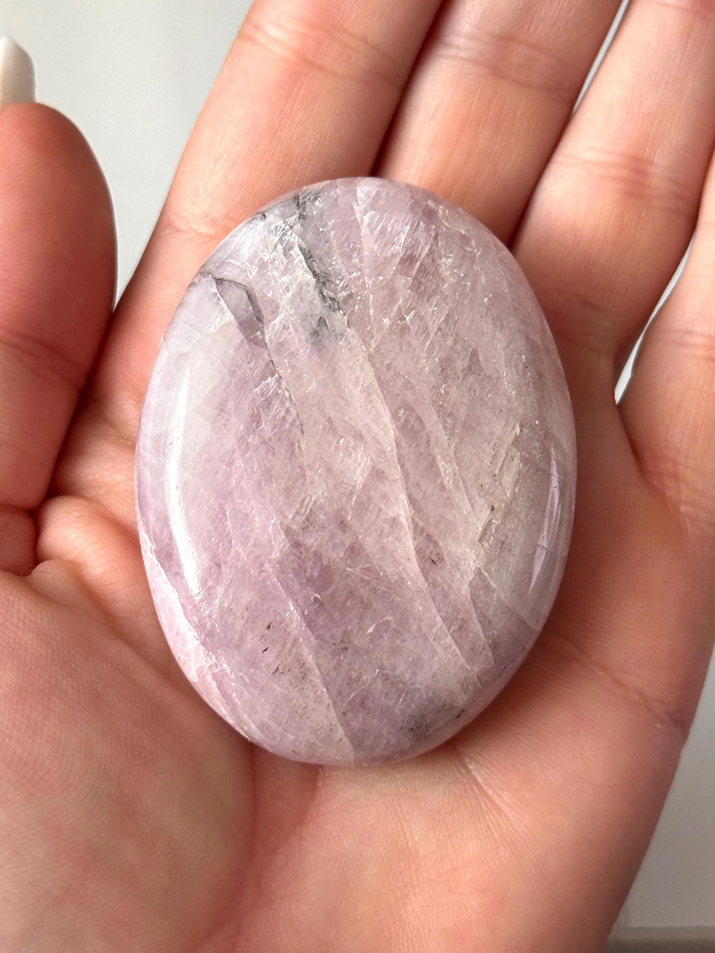 Kunzite with Dendrite Palm Stone