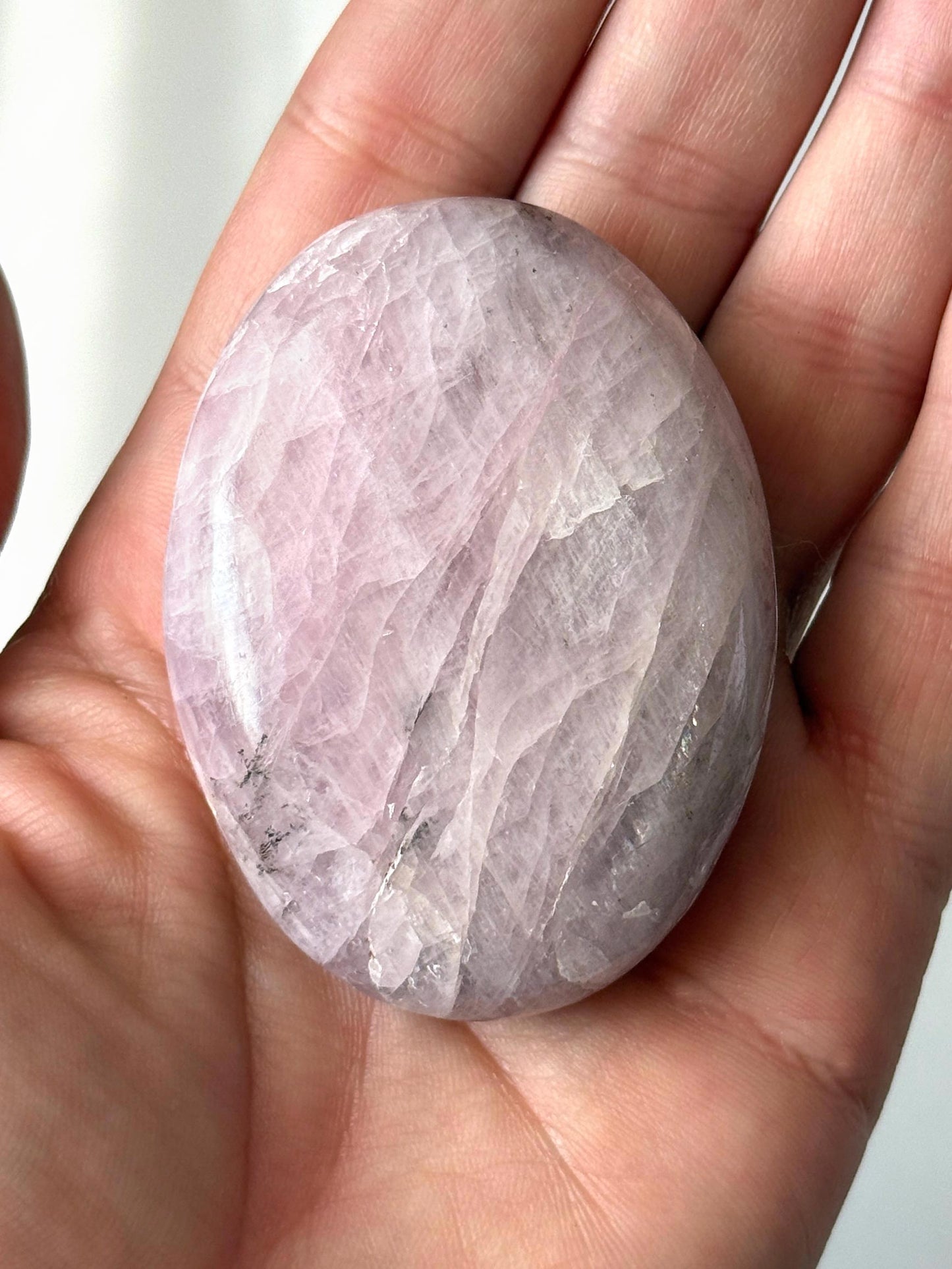 Kunzite with Dendrite Palm Stone