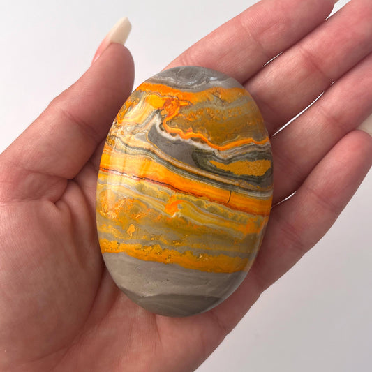 Bumble Bee Jasper Palm Stone