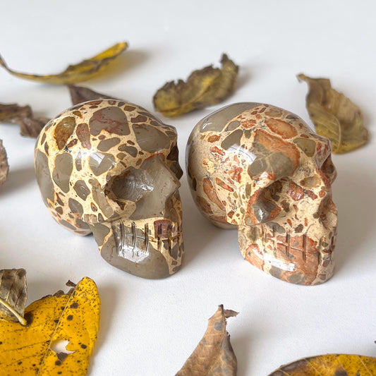 Leopardskin Jasper Skull