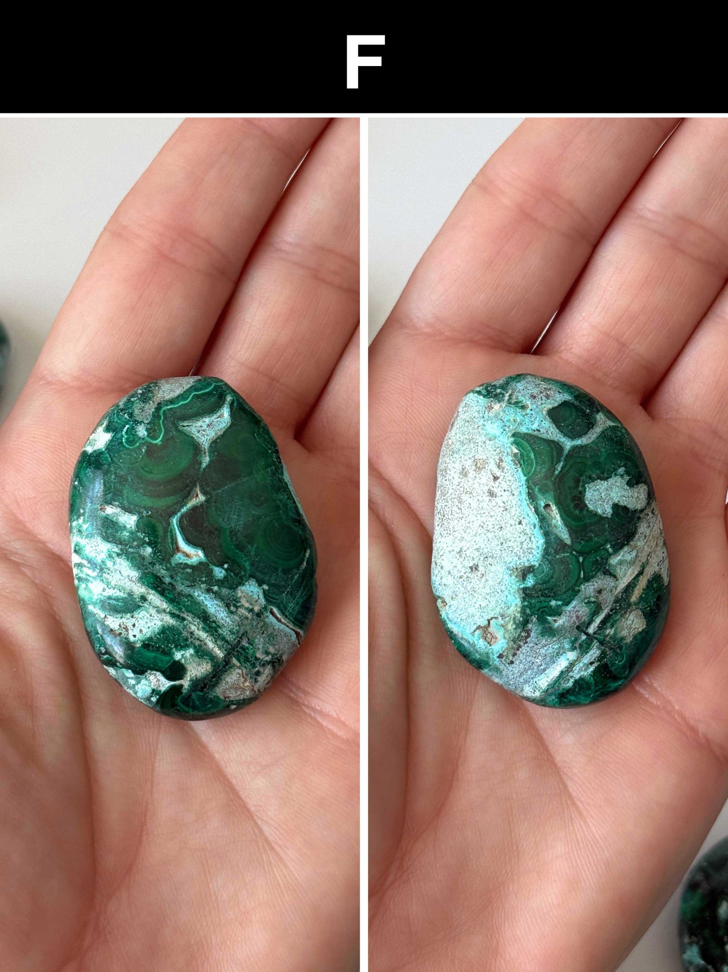 Malachite Chrysocolla Palm Stone