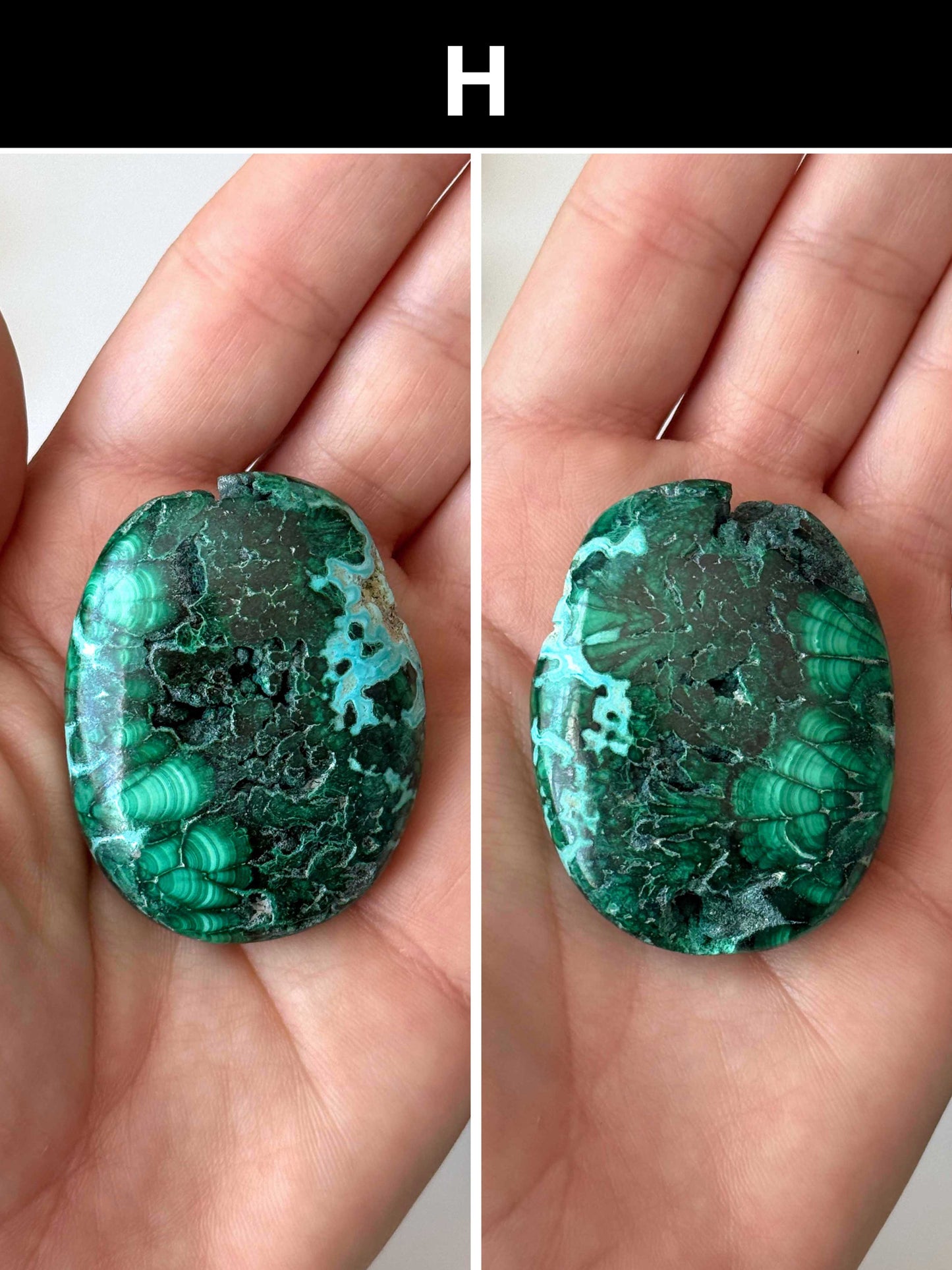 Malachite Chrysocolla Palm Stone