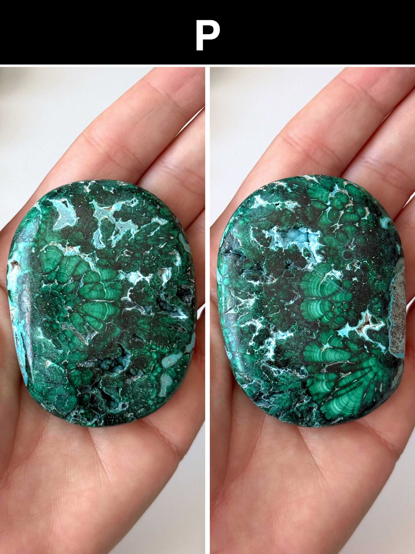 Malachite Chrysocolla Palm Stone