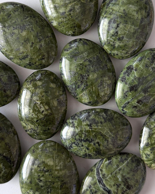 Jungle Serpentine Palm Stone