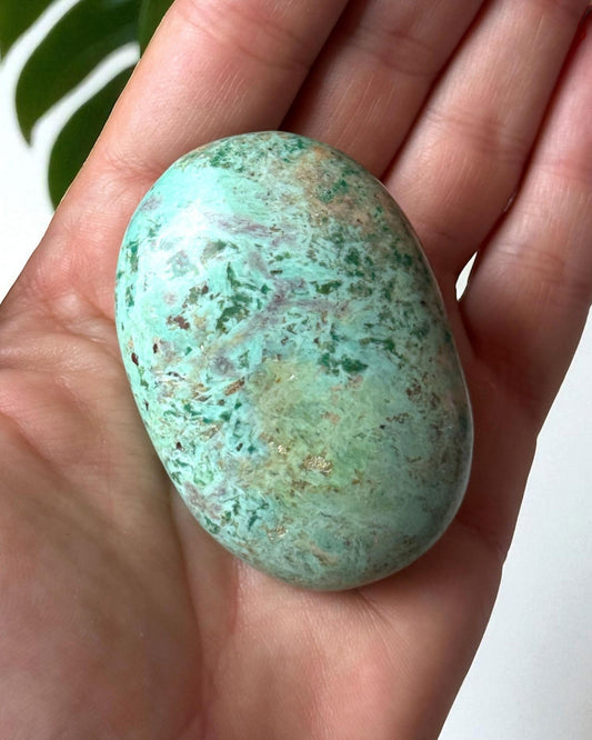Peruvian Turquoise Palm Stone