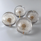 Everlasting Dandelion Sphere 70mm