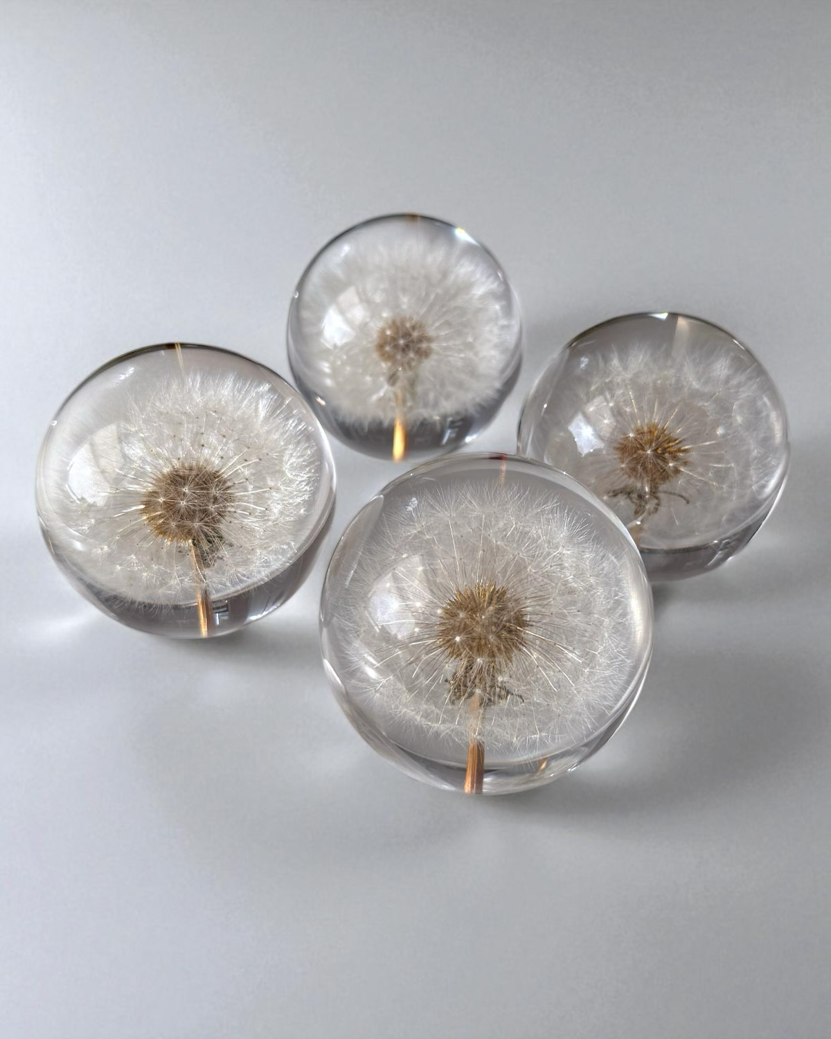 Everlasting Dandelion Sphere 70mm