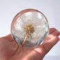 Everlasting Dandelion Sphere 70mm