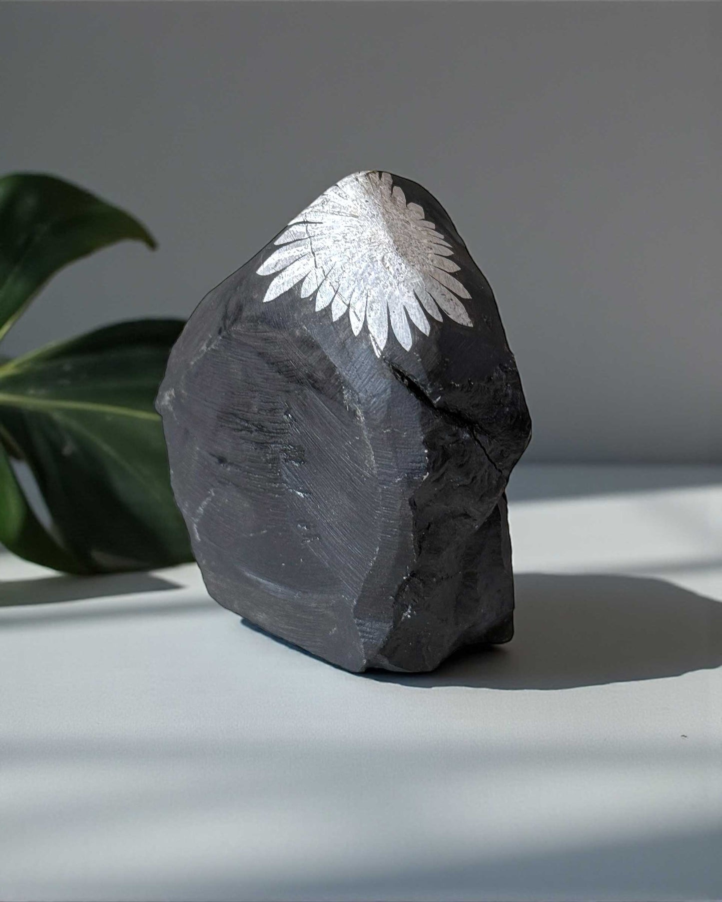 Chrysanthemum Stone Raw Stone