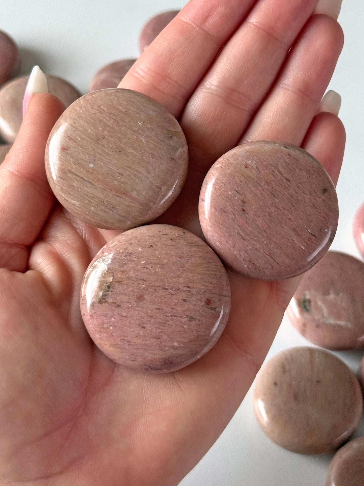 Pink Petrified Wood Round Palm Stone