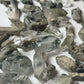 Green Chlorite Quartz Raw Specimen