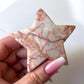 Red Net Jasper Star