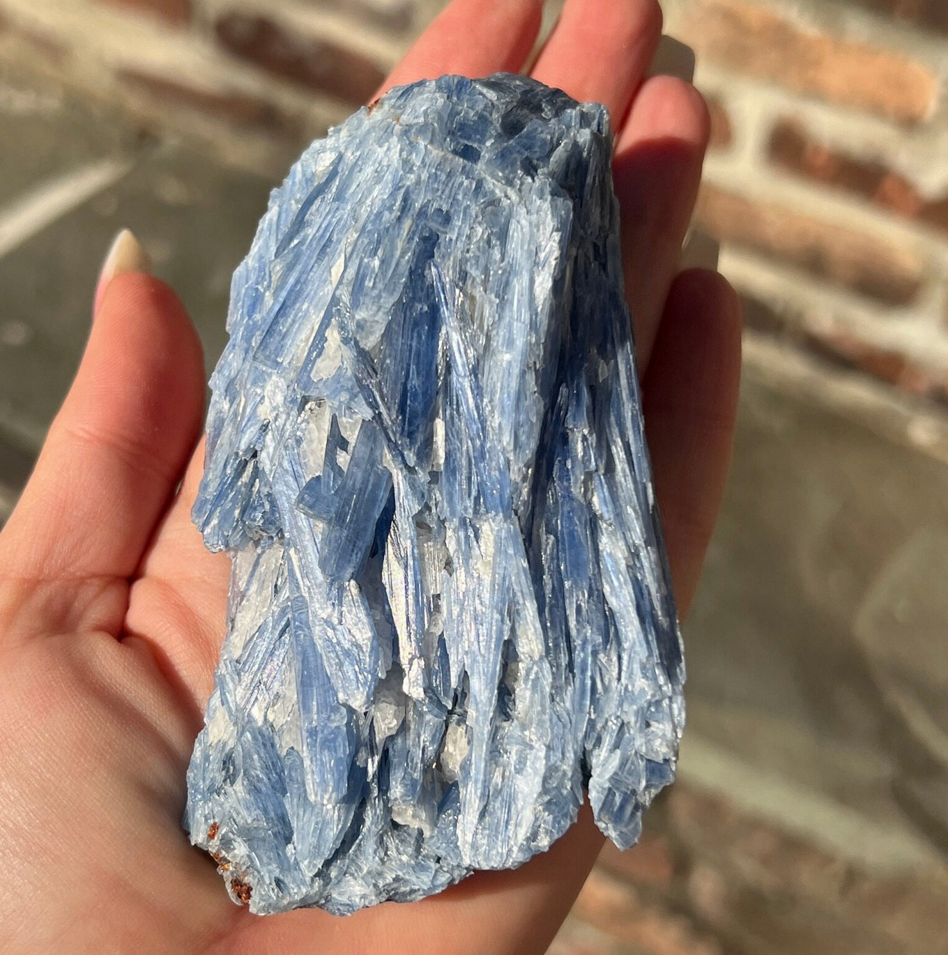 Blue Kyanite Raw Specimen