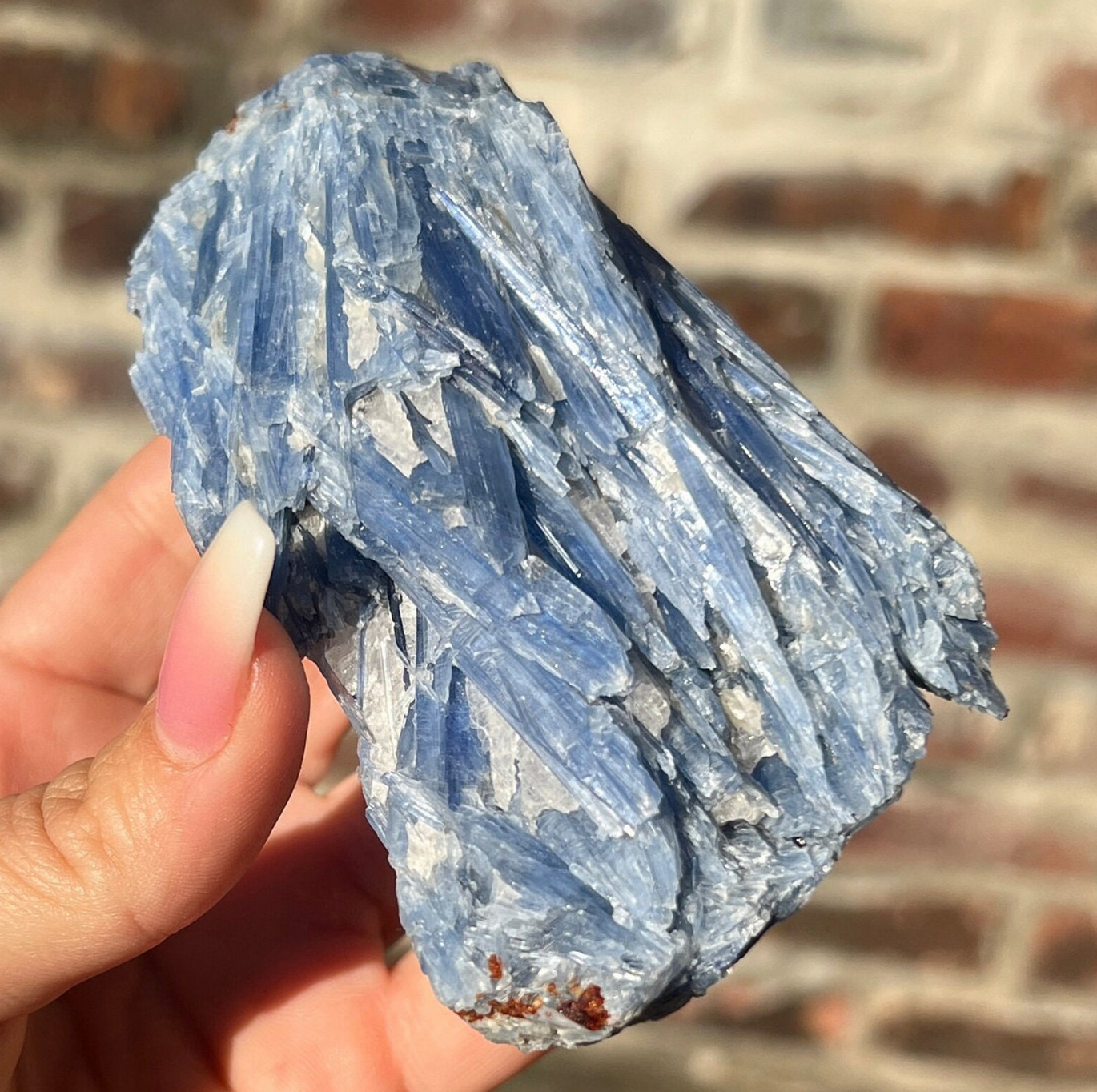 Blue Kyanite Raw Specimen