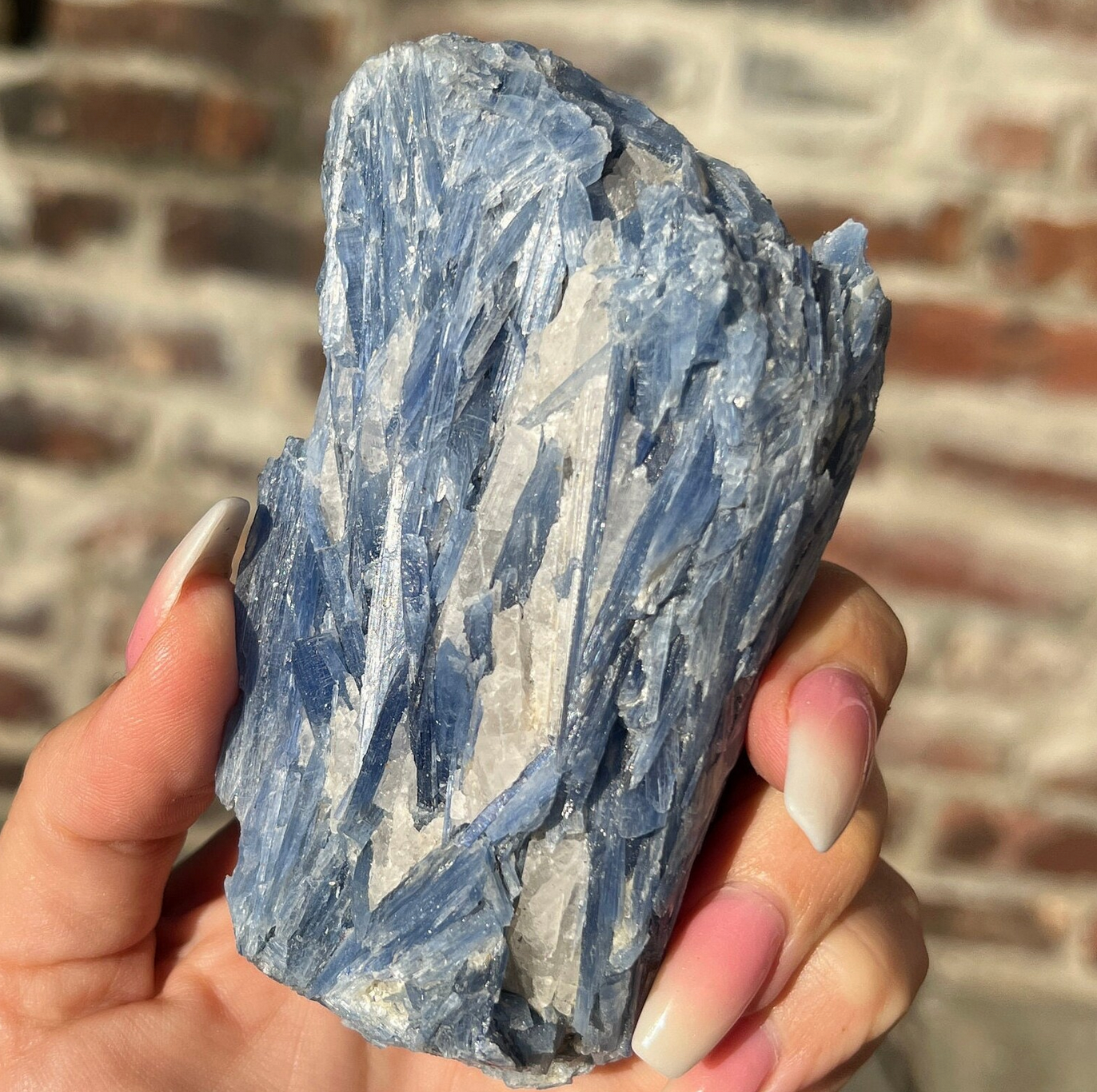 Blue Kyanite Raw Specimen