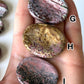 Sea Jasper Worry Stone