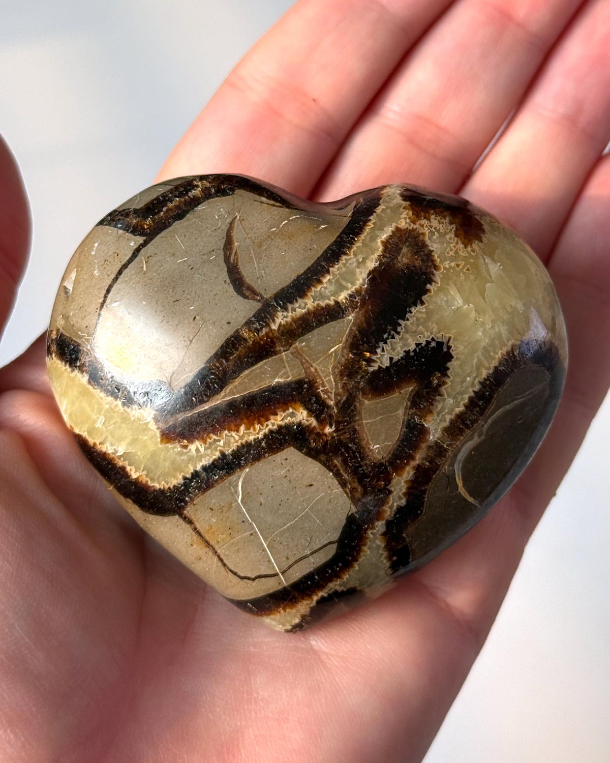 Septarian Heart