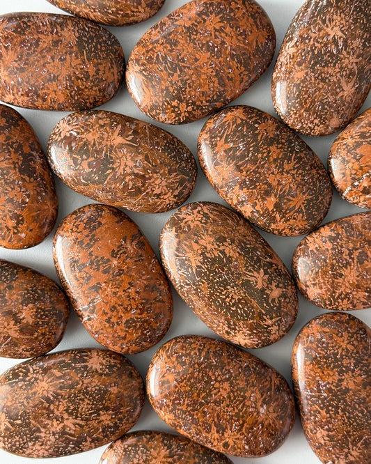Starburst Jasper Palm Stone
