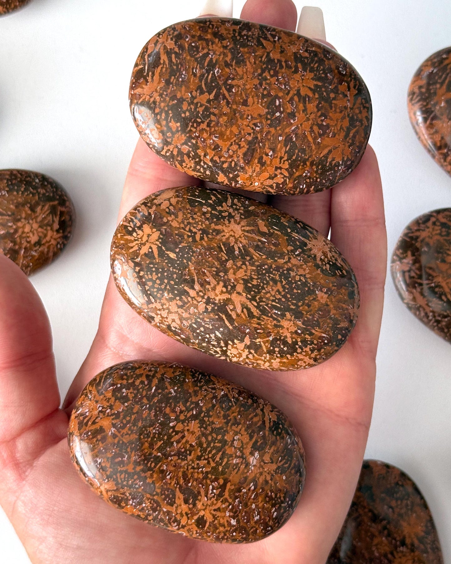 Starburst Jasper Palm Stone