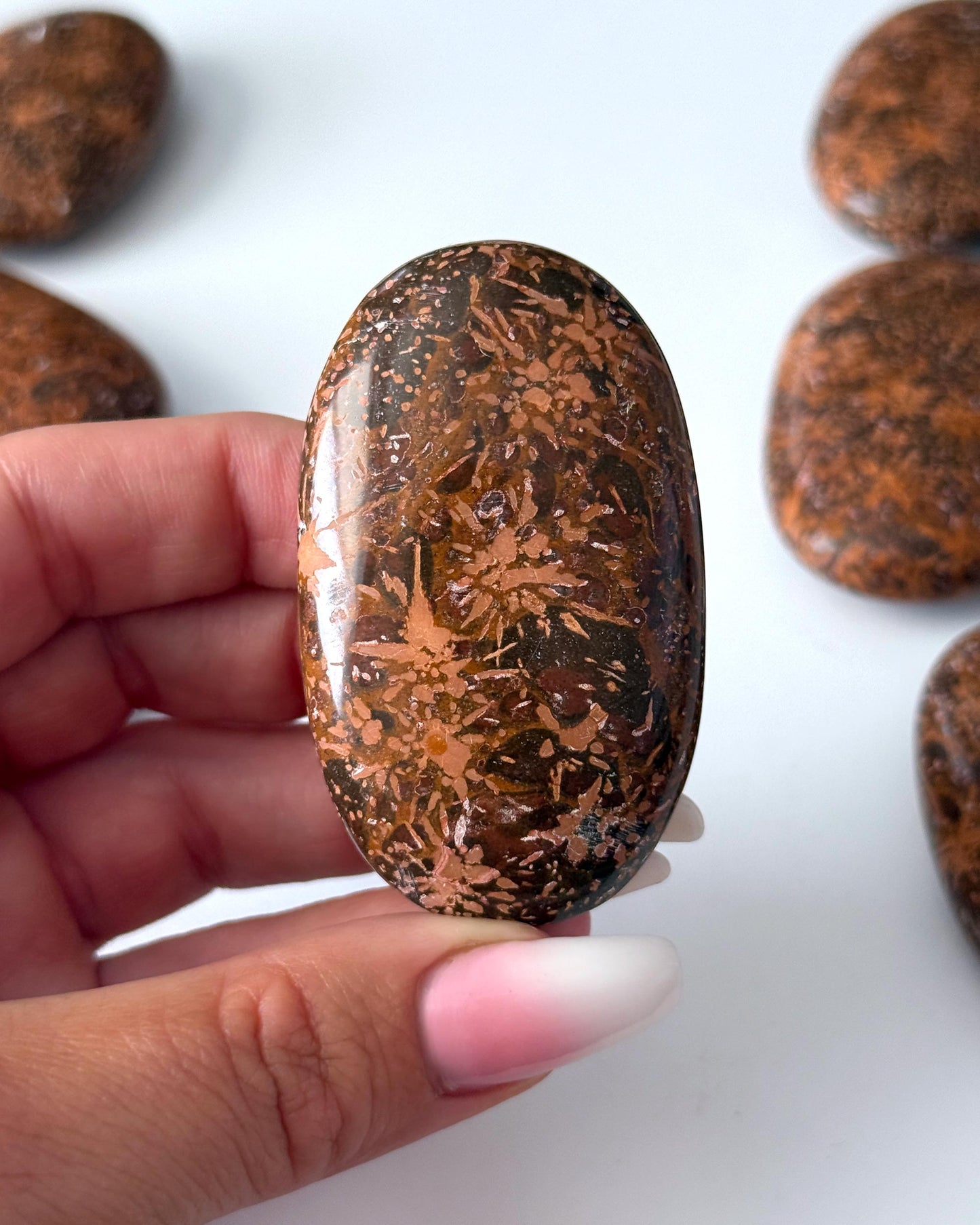 Starburst Jasper Palm Stone