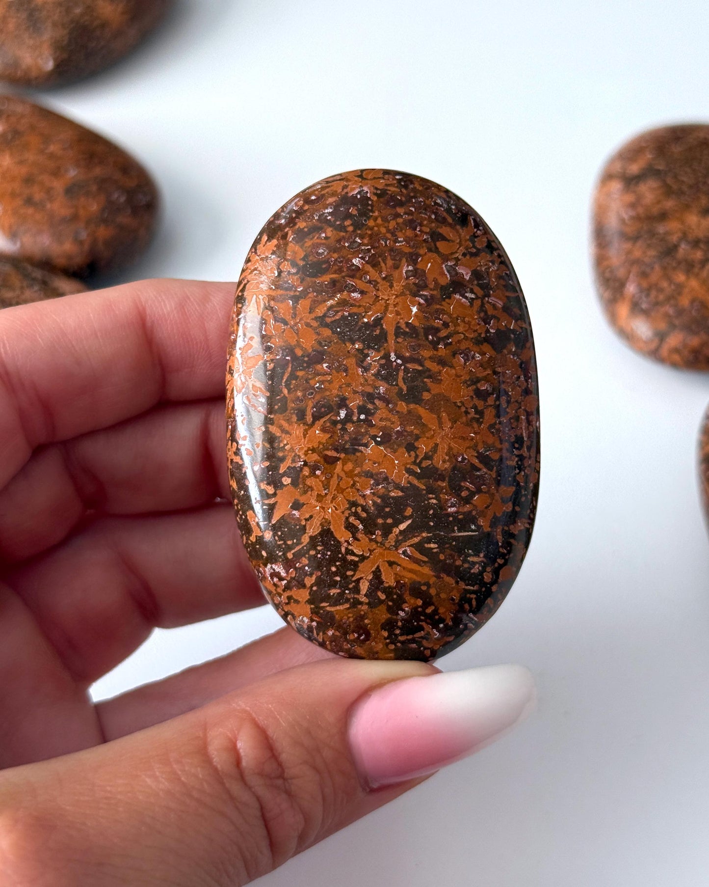 Starburst Jasper Palm Stone