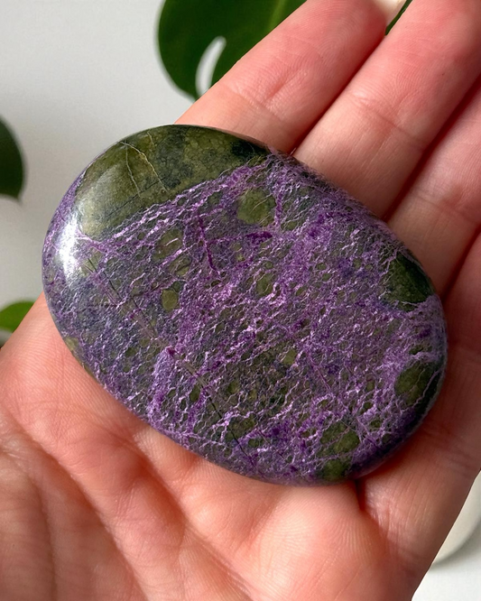 Stichtite Palm Stone