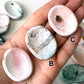 Unicorn Jasper Worry Stone