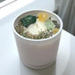 Prosperity Path Candle