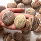 African Moonstone Palm Stone