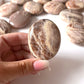 African Moonstone Palm Stone