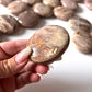 African Moonstone Palm Stone